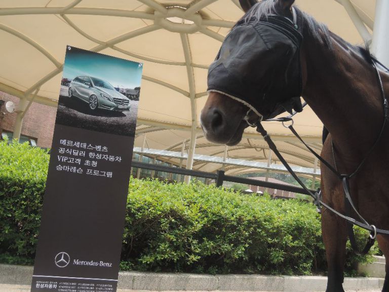 Equestrian de Han Sung